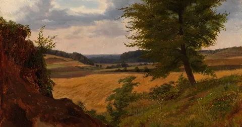 Is the state selling inherited land at up to a 90% discount? How to buy and taxes